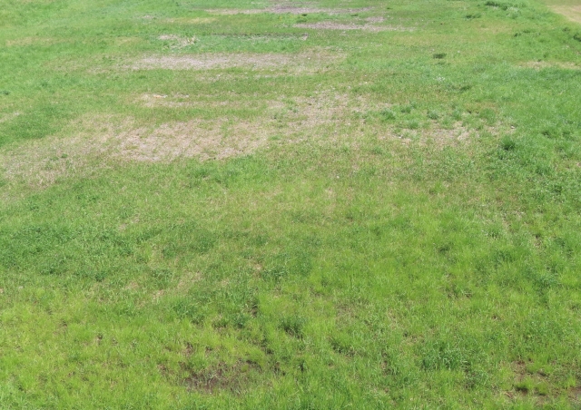 土地売却と測量の義務